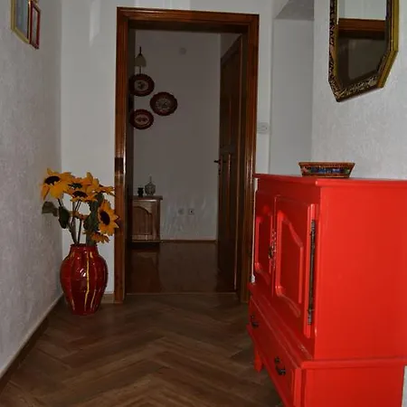 Dunja Višegrad